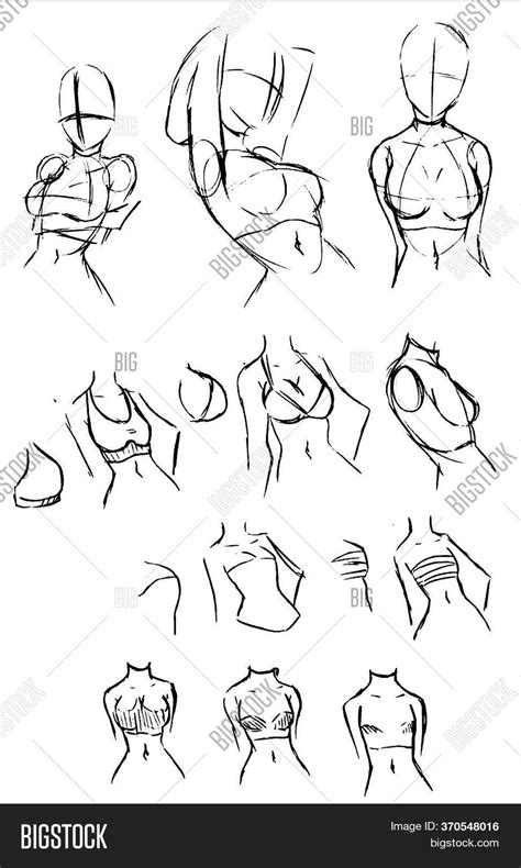 how to draw small boobs|How to Draw a Female Body (with Pictures)